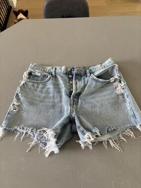 Agolde Parker Long Shorts in swap meet